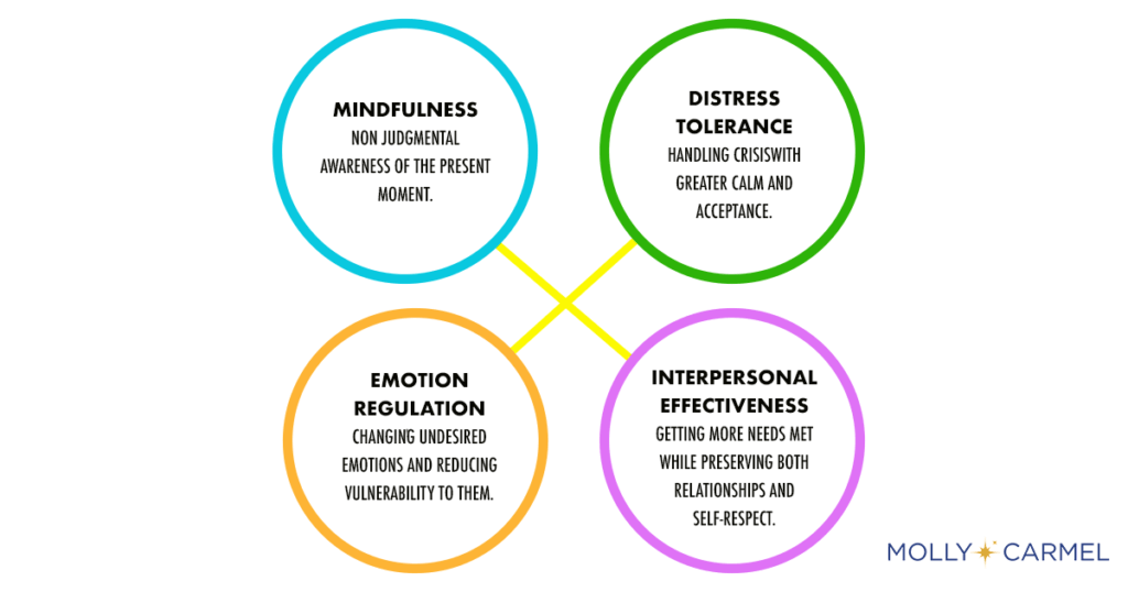 Dialectical Behavioral Therapy Skills 