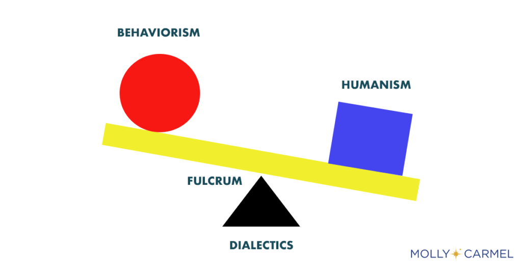 Dialectical Behavioral Therapy Diagram 